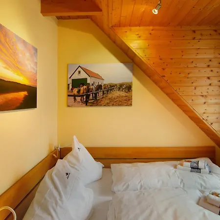 Haus Admiral - Suedwind Apartment Spiekeroog